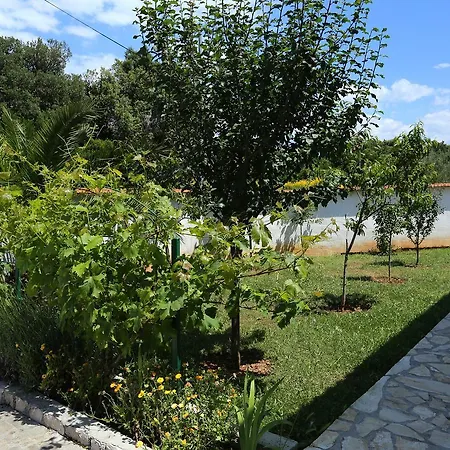 Drace 10126c Apartman